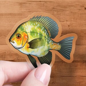 May include: A green, yellow, and orange fish sticker with a black outline. The fish has a large, round body and a small, pointed mouth. The sticker is on a wooden background.