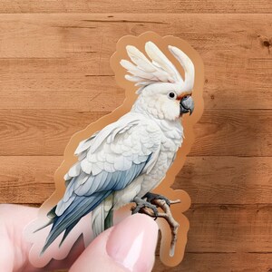 Cockatoo Sticker, Cute Animal Decal, Laptop, Car, Water Bottle, Premium Quality Sticker, Waterproof with Multiple Sizes & Styles