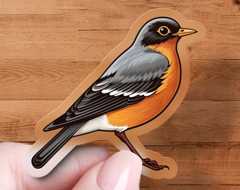 American Robin Sticker, Bird Watcher Decal, Laptop, Car Window Decal, Water Bottle, Premium Quality, Multiple Waterproof Sizes & Styles