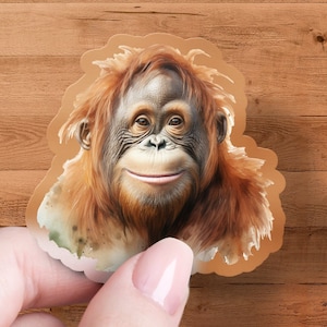 May include: Close-up of an orangutan's face. The orangutan has reddish-brown fur and is smiling. The background is a wooden surface.