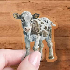 Dairy Cow Calf Sticker, Vinyl Decal, Farm Animal Decal, Cow Decal, Calf Sticker, Animal Lover Gift, Camper Van Decor, Water Bottle Sticker