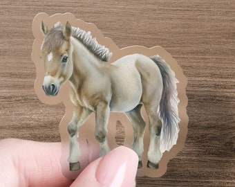 Pony Vinyl Sticker, Premium Decal, Water Bottle and Laptop