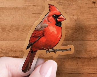 Northern Cardinal Sticker, Bird Watcher Decal, Laptop, Car Window Decal, Water Bottle, Premium Quality, Multiple Waterproof Sizes & Styles