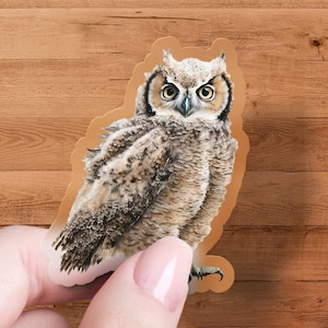 Great Horned Owl Sticker, Cute Animal Decal, Laptop, Car, Water Bottle, Premium Quality Sticker, Waterproof with Multiple Sizes & Styles