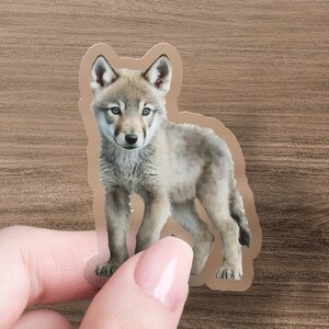 May include: A sticker featuring a realistic illustration of a gray wolf pup with blue eyes. The pup is standing on all fours and looking directly at the viewer.