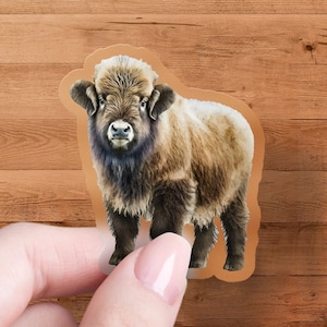 Muskox Sticker, Muskox Vinyl Decal, Muskox Car Decal, Muskox Gifts for Men, Muskox Decal for Women, Musk ox Stickers, Water Bottle Sticker