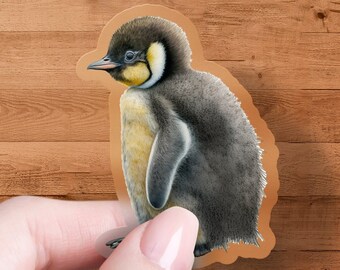 Penguin | DC210PLC | High Quality Adhesive Vinyl Window Decal