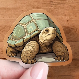 May include: A cartoon illustration of a tortoise with a brown shell and green markings. The tortoise is walking on a light brown surface.