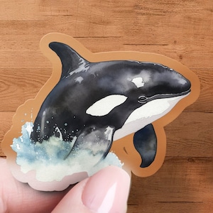 Killer Whale Sticker, Die Cut Vinyl Decal, Ocean Themed Sticker, Water Bottle Sticker, Waterproof, UV-Protected, Multiple Sizes & Styles