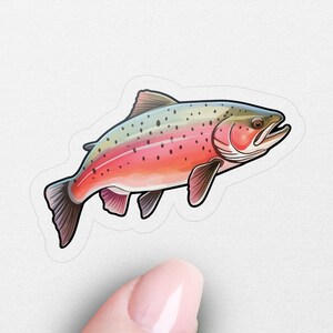 May include: A sticker featuring a colorful illustration of a trout fish with red, orange, and green markings. The fish is swimming to the right.