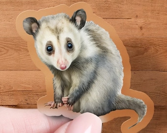 Cute Opossum Sticker, Waterproof Animal Decal, Laptop, Car
