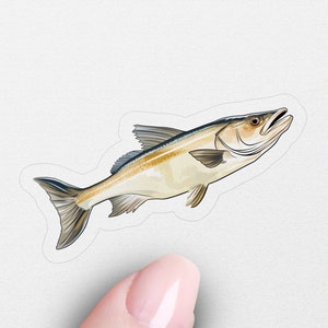 Snook Sticker, Animal Decal, Laptop, Car Window Decal, Water Bottle, Premium Quality Sticker, Waterproof with Multiple Sizes & Styles