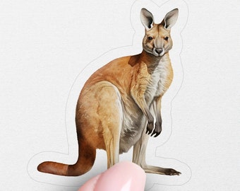 May include: A sticker featuring a realistic illustration of a red kangaroo standing on its hind legs. The kangaroo has a brown and tan coat and a long tail.
