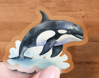 Killer Whale Sticker, Vinyl Decal, Ocean Decal, Cute Stickers, Whale Stickers, Children Gift, Laptop Decor, Water Bottle Sticker, Premium