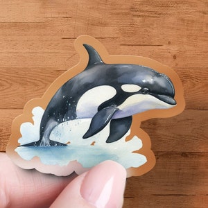 Killer Whale Sticker, Vinyl Decal, Ocean Decal, Cute Stickers, Whale Stickers, Children Gift, Laptop Decor, Water Bottle Sticker, Premium