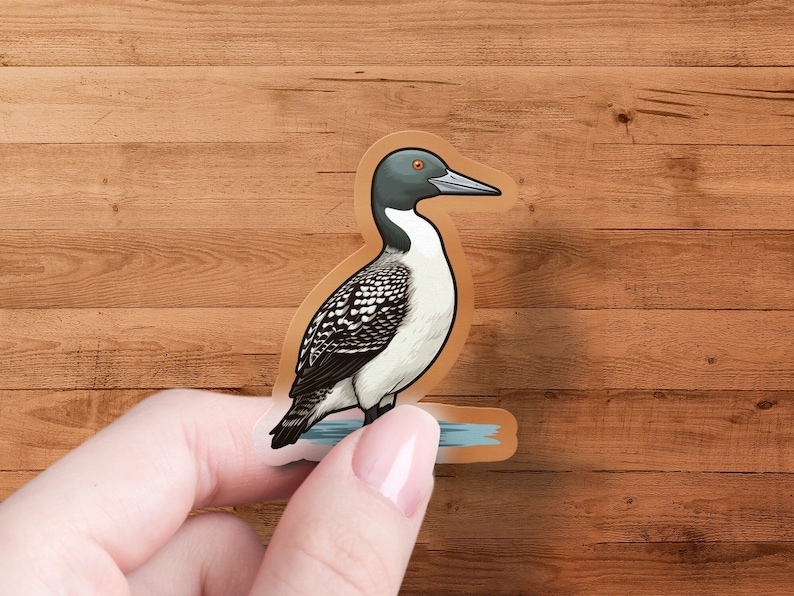 Common Loon Sticker, Bird Watcher Decal, Laptop, Car Window Decal ...