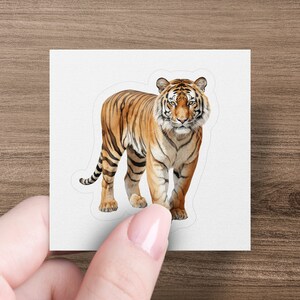 Majestic Tiger Sticker, Realistic Big Cat Jungle Animal, Laptop Decal, Premium Water Bottle Sticker, Wildlife Lover Gift, Vinyl Sticker afbeelding 5