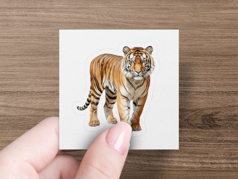 Majestic Tiger Sticker, Realistic Big Cat Jungle Animal, Laptop Decal, Premium Water Bottle Sticker, Wildlife Lover Gift, Vinyl Sticker afbeelding 5