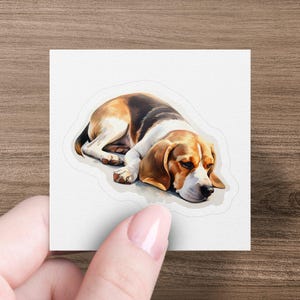 May include: A sticker featuring a watercolor illustration of a beagle dog lying down with its head resting on its paws. The dog is brown, white, and black.