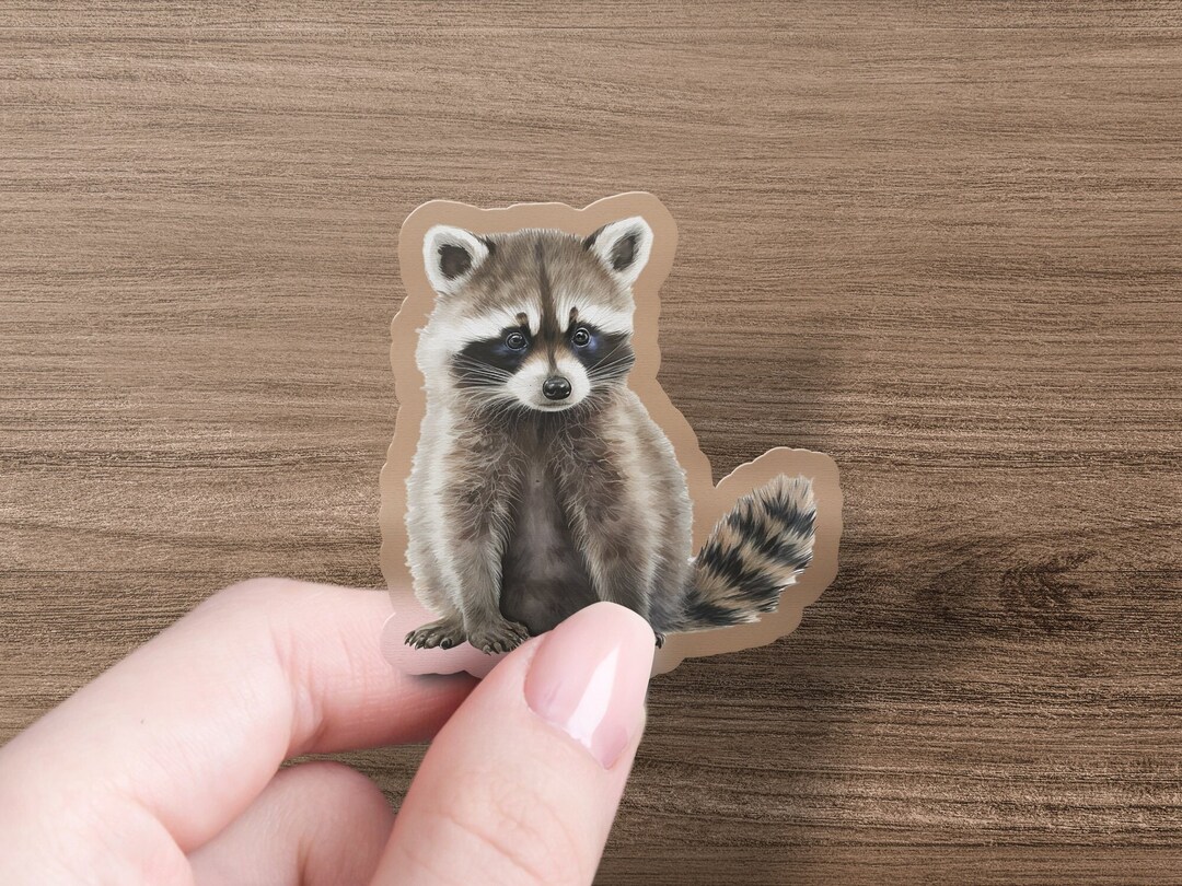 Cute Adorable Racoon Sticker Cute Racoon Sticker, Waterproof Vinyl Decal, Laptop, Car, Water Bottle ...