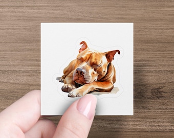 Pitbull Sleeping in the Sun Sticker Collection, Waterproof, UV-Protected, Multiple Sizes & Styles, Highest Quality