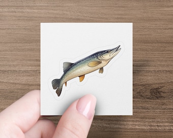 Northern Pike Sticker, Animal Decal, Laptop, Car Window Decal, Water Bottle, Premium Quality Sticker Waterproof with Multiple Sizes & Styles