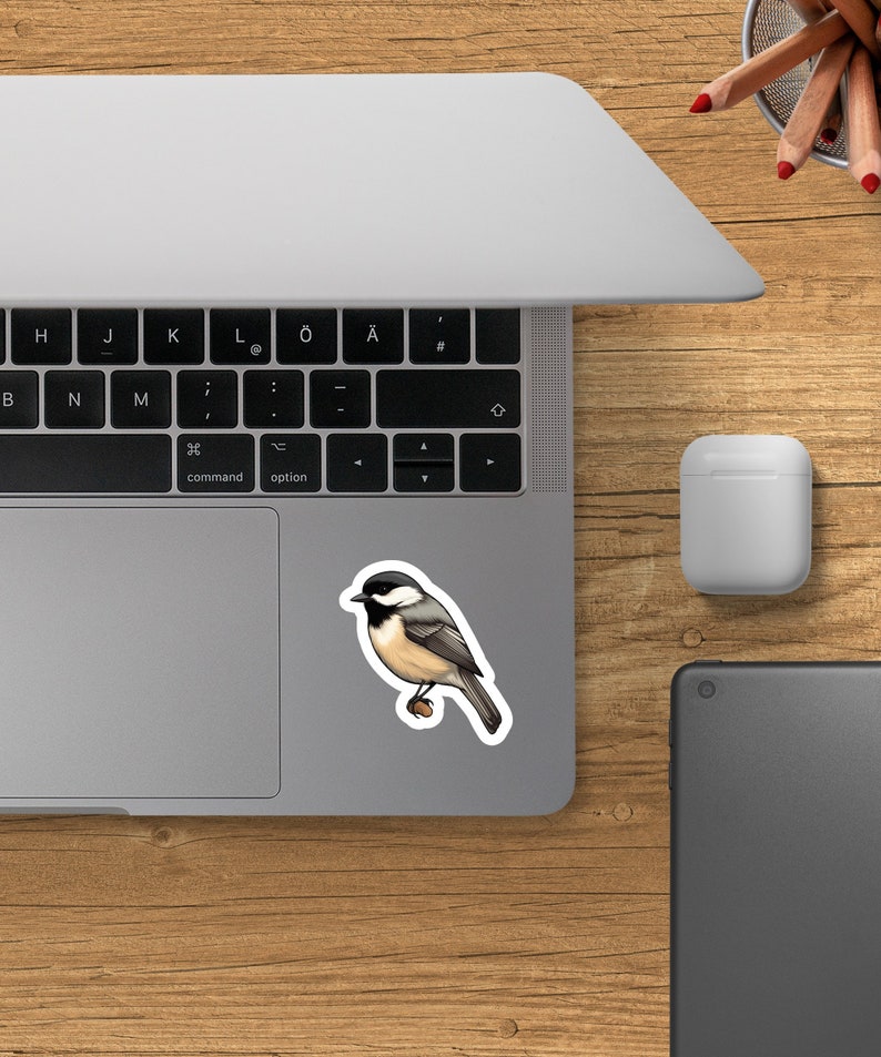 Black-capped Chickadee Sticker, Bird Watcher Decal, Laptop, Window ...