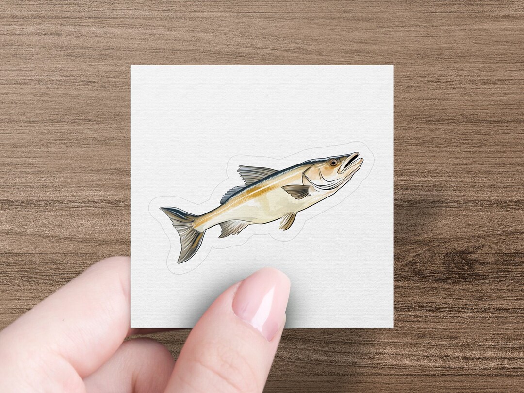 Snookie Sticker Snook Sticker, Animal Decal, Laptop, Car Window Decal, Water Bottle ...