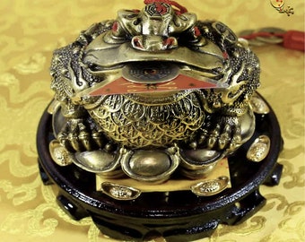 Rospo dei fondi Feng Shui immagine stock. Immagine di asiatico - 17525099