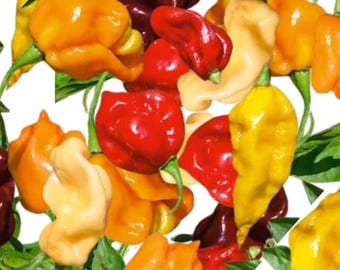 Pasilla Bajio Pepper Seeds | Hot | Heirloom | Organic - Etsy