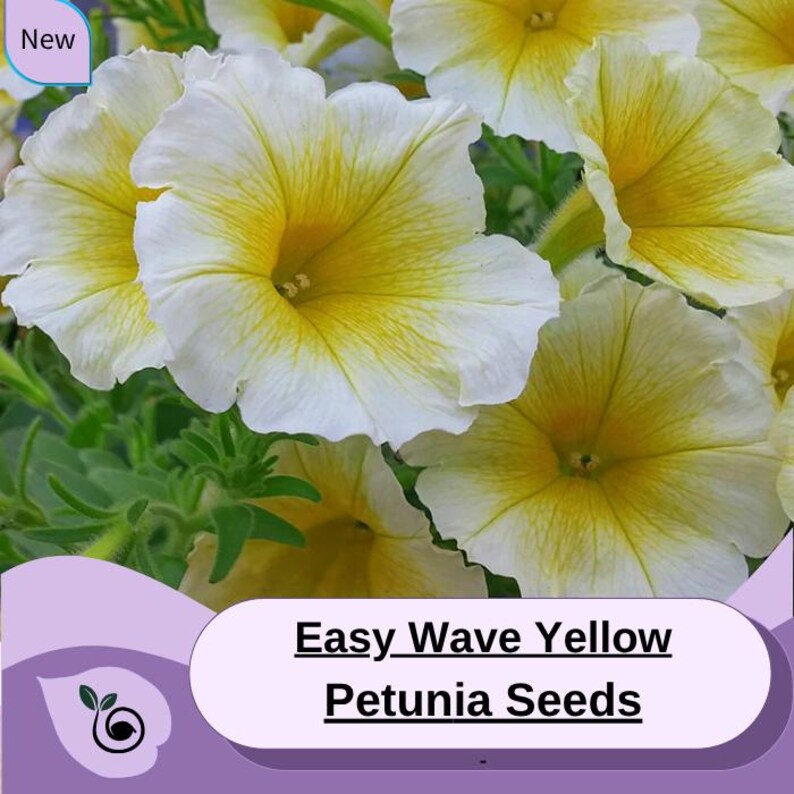 Petunia Easy Wave - Thumbnail 4