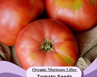 Organic Mortgage Lifter Tomato Seeds, Non-GMO US grown Open pollinated