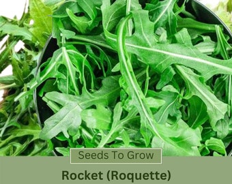 Arugula Seeds - Rocket (Roquette)