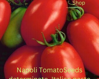 thumbnail image 2 of 30+ Napoli Tomato Seeds – Heirloom, Organic, Non-GMO – Fresh, Easy To Grow – USA 2 of 2