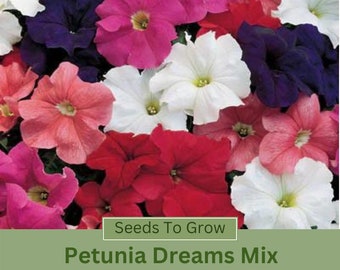 Petunia Seeds Dreams Mix Petunia Seeds 50 Garden Flower Seeds For 2024 Season Fast Shipping