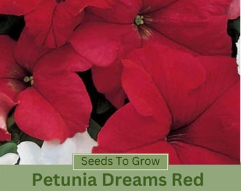 Dreams Red F1 Petunia Seeds 50 Garden Flower Seeds For 2024 Season Fast Shipping