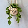 Thoughtful Gift Encouragement Gift Care Package Monstera Crochet Decoration Cheer Up Gift Thinking of You Best Friend Gift Personalized Gift