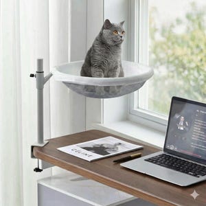 May include: A gray cat sits in a white cat window perch. The perch is attached to a desk with a laptop and a magazine with the word "CELINE" on it. The cat perch is attached to the desk with a metal clamp.