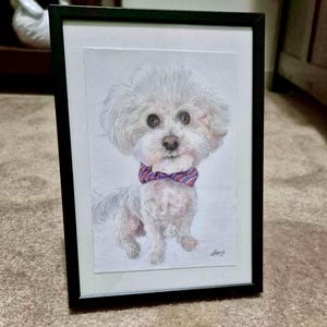 May include: A framed coloured pencil drawing of a small white dog with fluffy fur and large dark eyes. The dog is wearing a red and blue striped bow tie around its neck. The artwork is presented in a simple black frame with a white mat border.