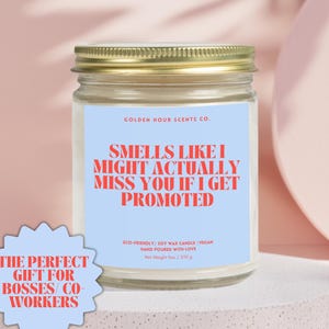 Funny Office Gifts Funny Boss Gifts Boss Appreciation Gifts Funny Office Decor Candle Boss Gifts Sarcastic Gift For Boss Day Appreciation