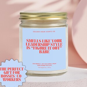 Funny Office Gifts Funny Boss Gifts Boss Appreciation Gifts Funny Office Decor Candle Boss Gifts Sarcastic Gift For Boss Day Appreciation