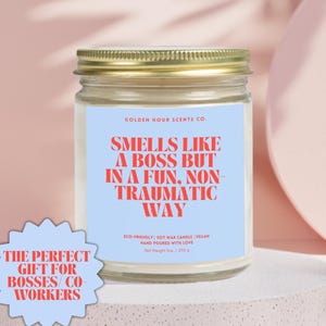 Funny Office Gifts Funny Boss Gifts Boss Appreciation Gifts Funny Office Decor Candle Boss Gifts Sarcastic Gift For Boss Day Appreciation