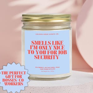 Funny Office Gifts Funny Boss Gifts Boss Appreciation Gifts Funny Office Decor Candle Boss Gifts Sarcastic Gift For Boss Day Appreciation