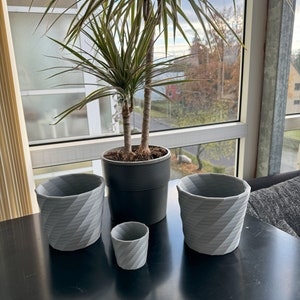 Pode incluir: Quatro vasos de cerâmica cinza com um padrão texturizado em forma de diamante. O vaso maior contém uma planta verde com folhas longas e finas.