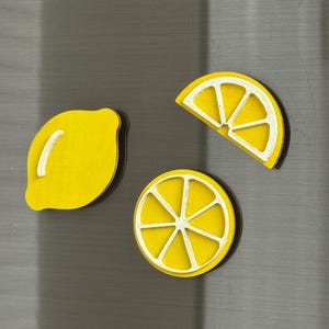 3pc lemon magnets