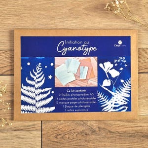 Op de afbeelding: Een bruine kartonnen doos met een blauw-wit ontwerp. De doos bevat een cyanotype-kit voor beginners. De doos heeft een varenbladontwerp en de tekst "Initiation au Cyanotype".