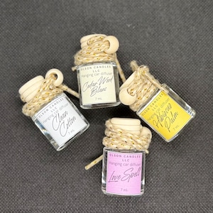 Hanging Car Air Diffuser | Car Freshener | Car Fragrance
