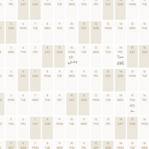 May include: A beige calendar showing the months of July and August. The calendar has the days of the week labelled at the top and the numbers 5 to 16 listed for each week. There are handwritten notes on the calendar for "Di's birthday" and "Team BBQ".