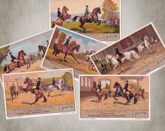 Kies en kies - Dressuur Paardensport Paardensport Antieke Franse verzamelkaart - Oude Franse ephemera