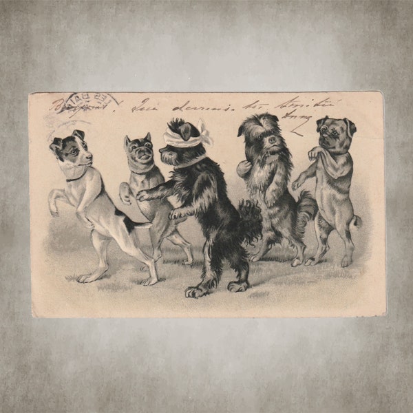 Multi dogs playing Blind Man's Bluff Anthropomorphic Dog Antique embossed postcard - dog ephemera